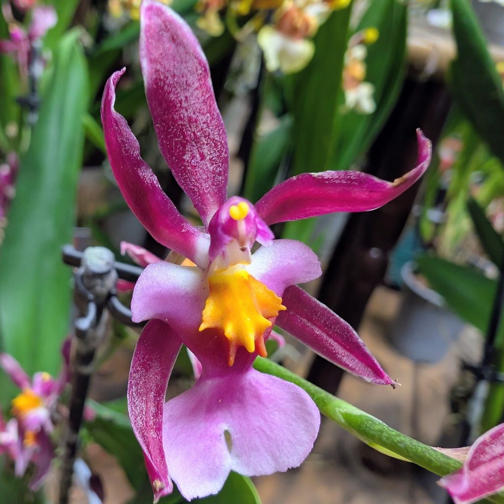 Composition florale moderne pour intérieur lumineux